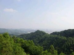 -大屏嶂森林公园
