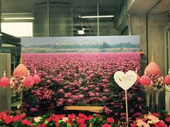 -曼谷素万那普国际机场