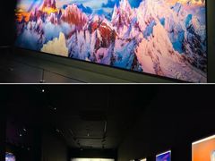 -罗红摄影艺术馆