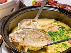 -望乡楼上海菜(日月光店)