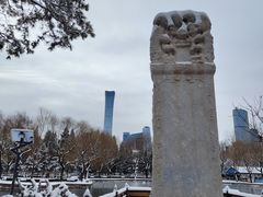 -团结湖公园