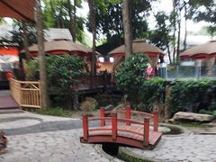 -二荆条·蜀鲜汇城市森林火锅