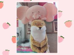 -LLJ夹机占(清河万象汇店)