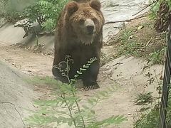 -南昌动物园