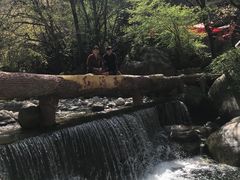 -陕西省红河谷森林公园