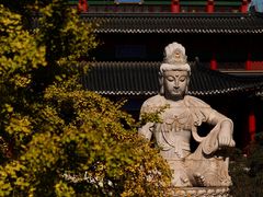 -毗卢寺