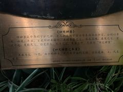 -花之城