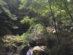 -牛背梁国家森林公园