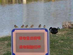 -大连理工大学(凌水校区)