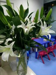 -子木乐园婴儿游泳馆(水晶港店)