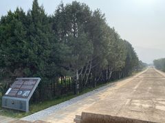 -秦始皇帝陵博物院-丽山园