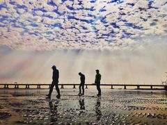 -南汇嘴观海公园