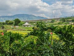 -光明小镇欢乐田园