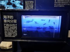 -同济大学四平路校区深海探索馆