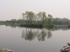 -大兴滨河森林公园