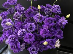 -拾花记花艺·求婚·订婚·生日布置(高新店)