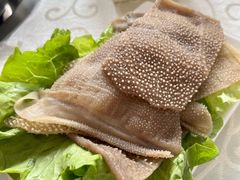 家乡脆牛肚-冯鱼头火锅(青蓝山美食一条街店)