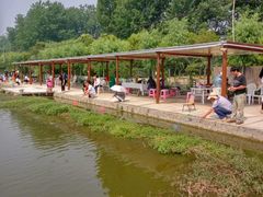 -同銮特种养殖场·龙虾垂钓