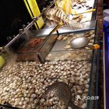 [加油]韩丰道海鲜自助烤肉火锅（油田店）