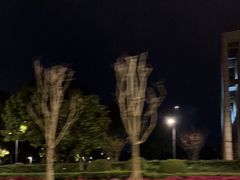 -南汇新城城市公园