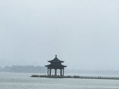 -金鸡湖景区