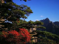 -黄山风景区