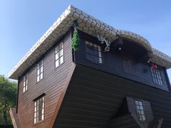 -金山农民画村-枫泾波兰倒置屋