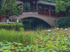 -龙潭水乡