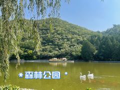-静之湖度假区