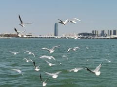 -无锡蠡湖国家湿地公园-蠡园