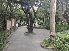 -荔枝公园(福田区)