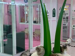 -天河领展广场