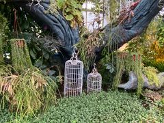 -国家植物园南园