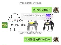 -艾吉宠物医院·疑难杂症转诊中心·猫友好(碧江路院)