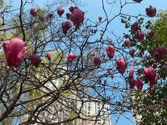 -白塘生态植物园