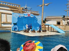 -秦皇岛乐岛海洋王国