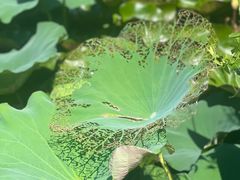 -祝甸砖窑文化馆