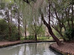 -同里国家湿地公园
