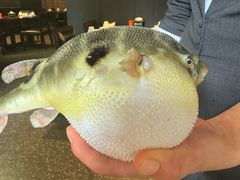 -永安鱼庄·镇江菜(东吴路店)