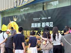 -凯德MALL(望京店)