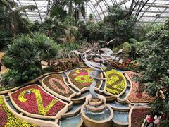 -南山植物园