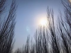 -东郊湿地公园