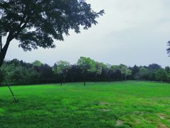 -北坞公园