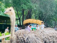 -北京野生动物园