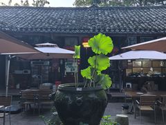 -土砂锅生态山庄·非遗砂锅雅鱼