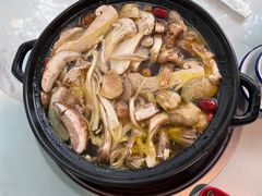 -蘑统田下·野生菌火锅