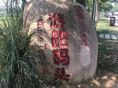 -泗洪洪泽湖湿地景区