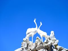 -黑龙江扎龙生态旅游区