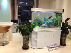 -子午孕教·孕妇瑜伽产后恢复(市北店)