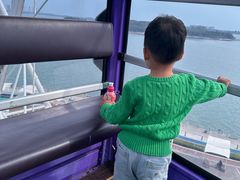 -琴岛之星摩天轮
